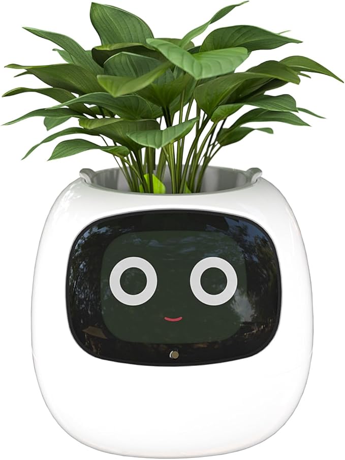 Masdio Smart Flowerpot with AI Integration