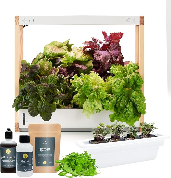 High Budget: Rise Gardens Personal Garden