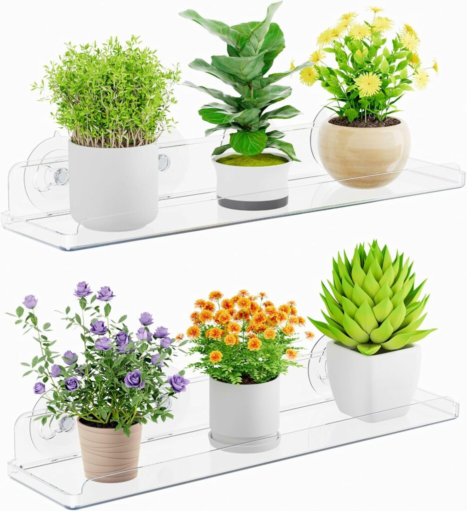 Best Plants That Thrive in Small Planters