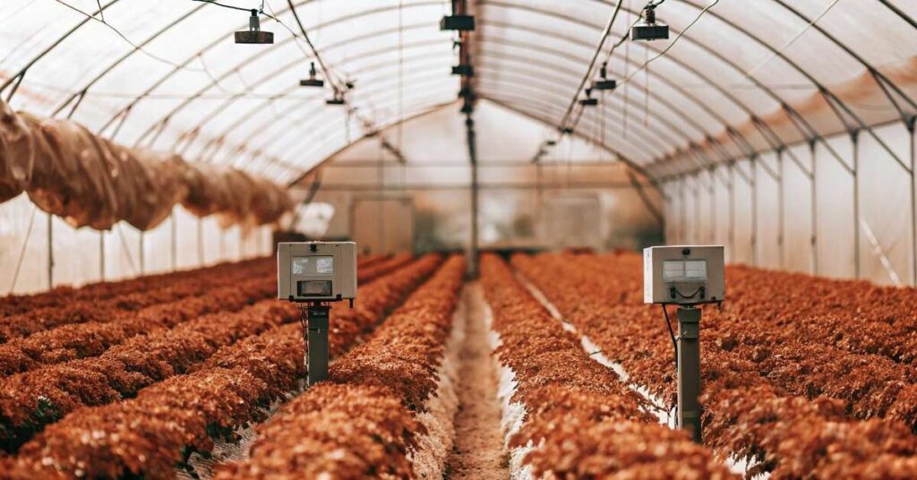 Common Applications in Agricultural Settings