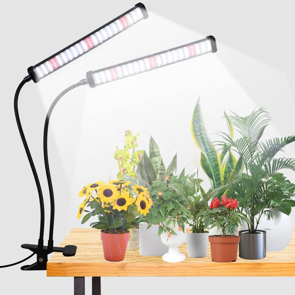 Fluorescent Grow Lights: Gentle and Budget-Friendly