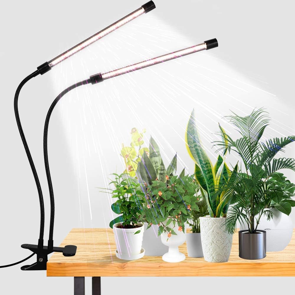 Grow Lights That Turn Dark Corners Green