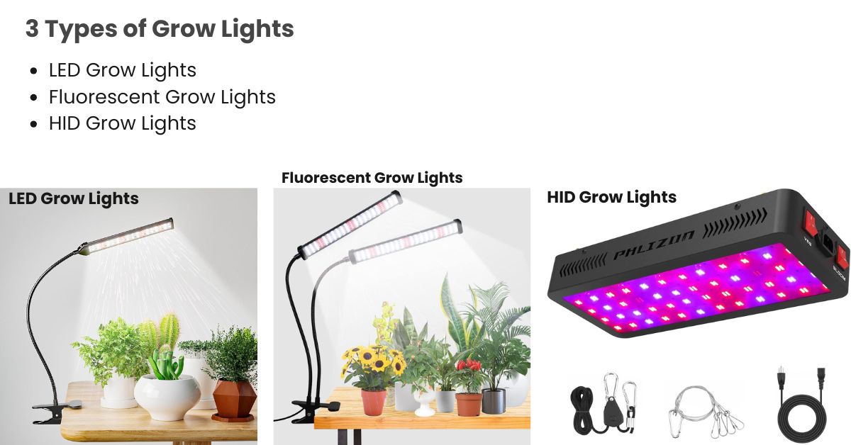 How Can 3 Types of Grow Lights Boost Your Indoor Garden's Yield?