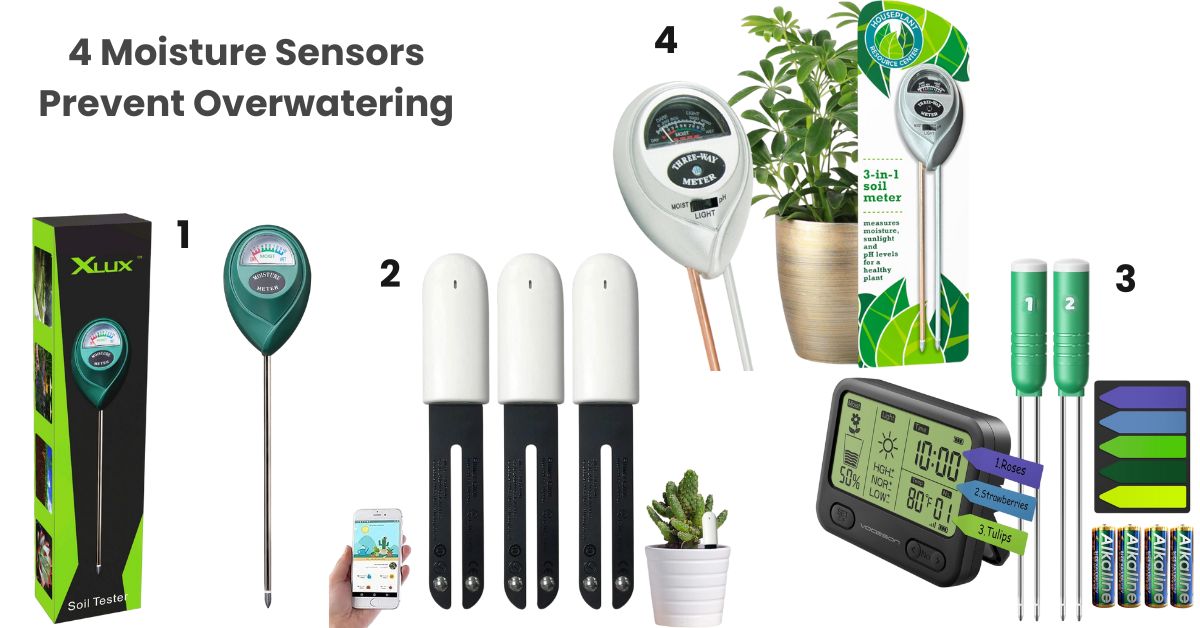 How Can 4 Moisture Sensors Prevent Overwatering?