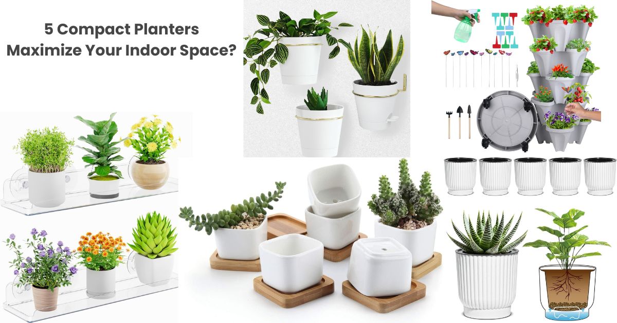 How Can 5 Compact Planters Maximize Your Indoor Space?