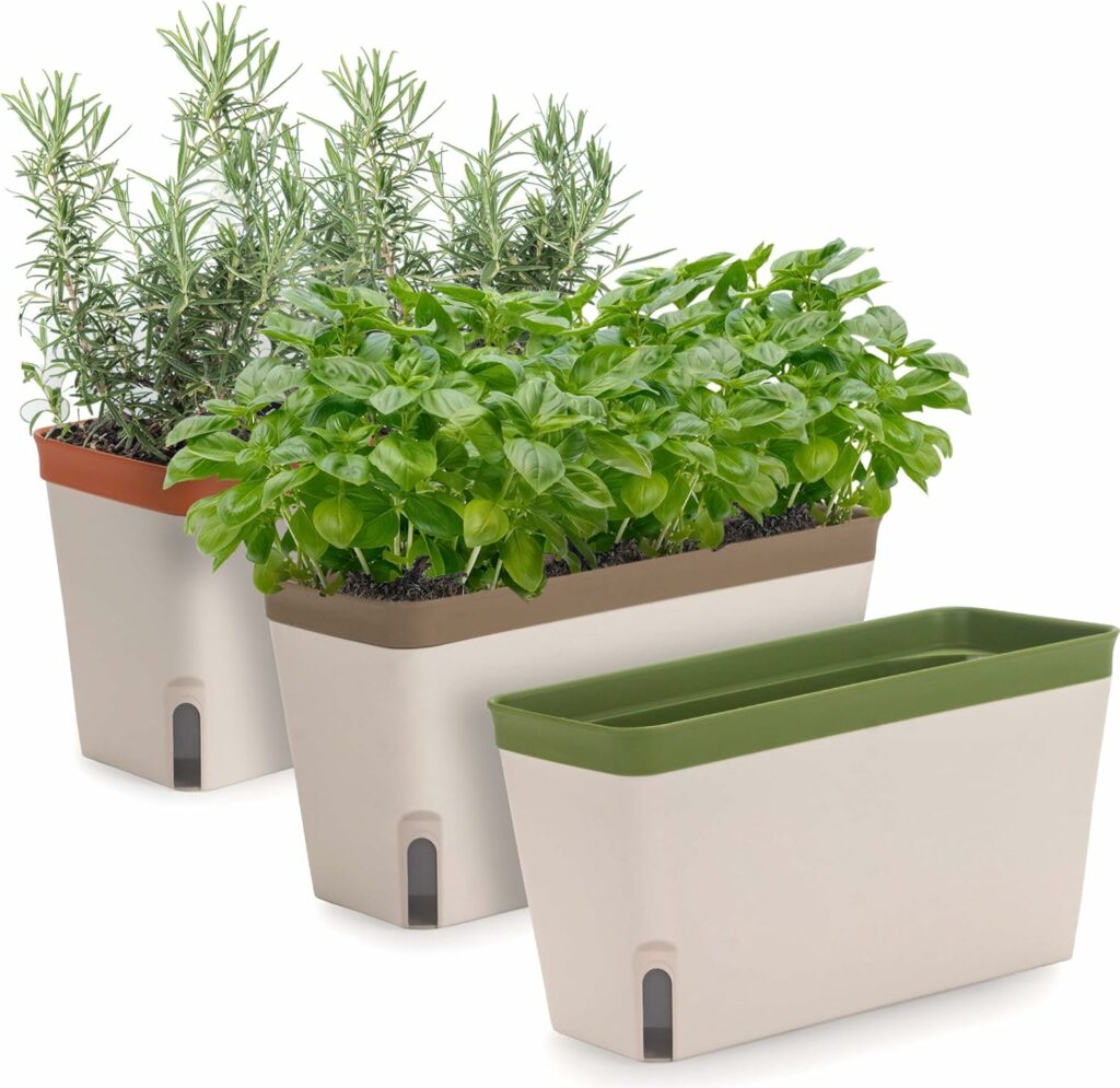 The Smart Planter: Your Indoor Garden’s Best Friend