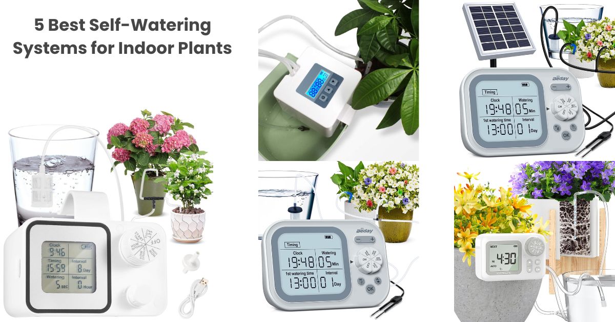 What Are the 5 Best Self-Watering Systems for Indoor Plants?