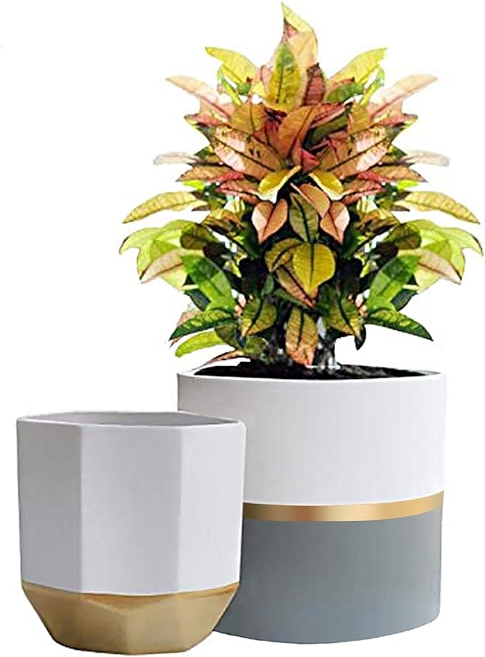 Pick smart and beautiful accessories like LA JOLIE MUSE’s White Ceramic Flower Pots