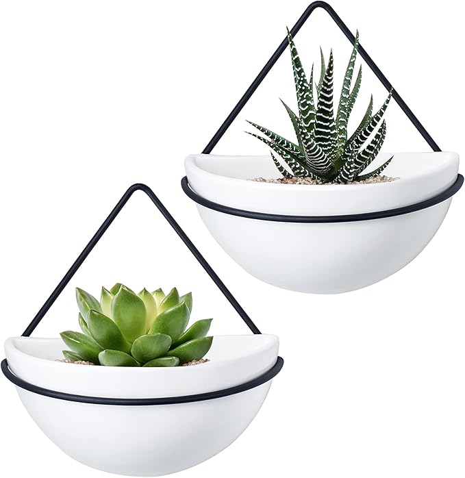 Putting Some Planters on the Wall Uses Vertical Space