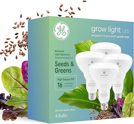 Make use of special lights such as spotlights or LED lights