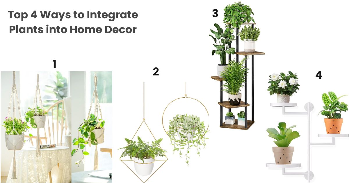 What Are the Top 4 Ways to Integrate Plants into Home Decor?